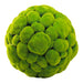 Quorum Home Cyan - 02608 - Sphere - Moss Green