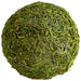 Quorum Home Cyan - 07298 - Filler - Green Moss