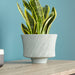 Quorum Home Cyan - 08736 - Planter - Oyster Blue