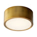 Quorum Home Oxygen - 3-600-40 - LED Ceiling Mount - Aged Brass