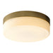 Quorum Home Oxygen - 32-631-40 - LED Ceiling Mount - Aged Brass