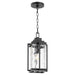 Quorum Home Quorum - 7022-69 - One Light Pendant - Textured Black