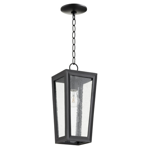 Quorum Home Quorum - 716-6-69 - One Light Pendant - Textured Black